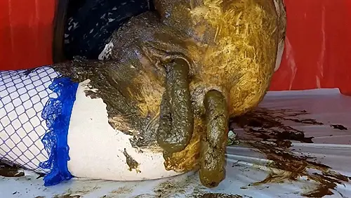 AnnaCoprofield – Fill my Pussy 7 Saved and 1 Fresh Shit Part 2 2018