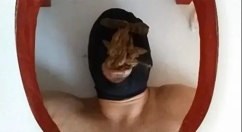 Loser eating my shit and masturbates