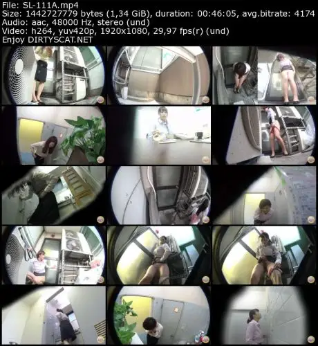 DLSL-111 Office workers Wetting panic 2
