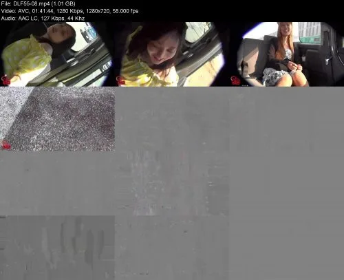 DLF55-08 Jade Strain in the car! A last-minute out on the verge of a res…
