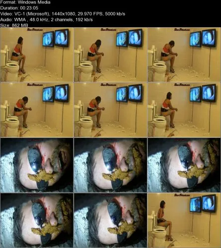 Dom-princess Now you are officially a Toilet – Part 8 Andrea