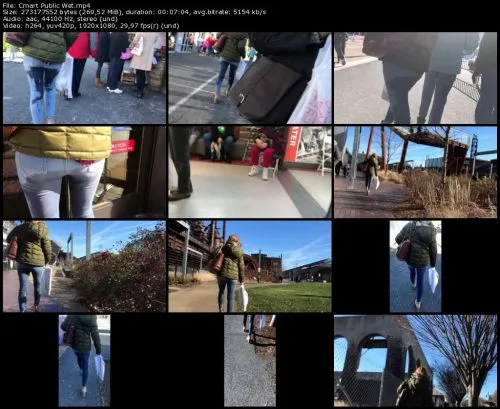 Cmart Public Wet 2019
