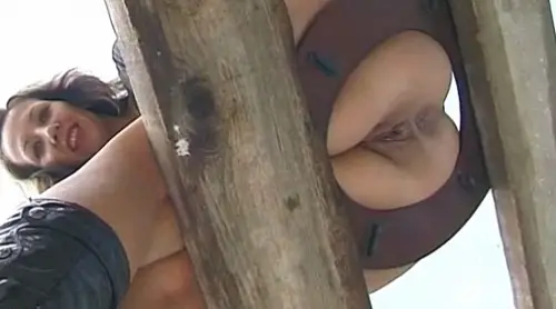 Sitting Pissing