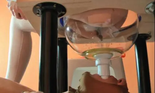 The Human Toilet – Inbetriebnahme Planet-Bizarre