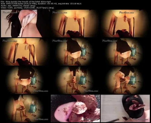 Alina bombs the mouth of the toilet slave hard shit