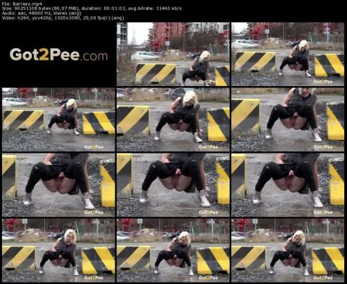 Got2Pee Barriers Blonde Piss Street New!!!