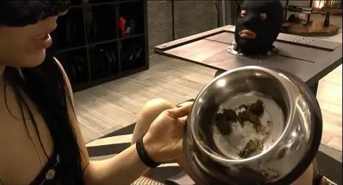 Butt Plugg Scat Slut