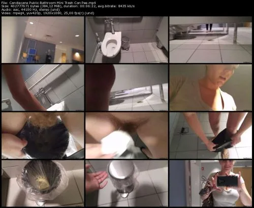 Candiecane Public Bathroom Mini Trash Can Pee