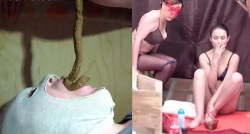 Comfortable live toilet for 3 princesses