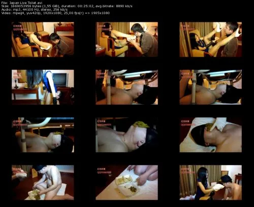 Japan Live Toilet Scat Show