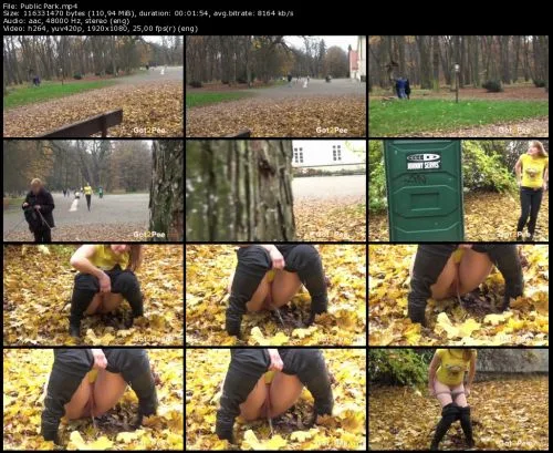 Got2Pee Public Park