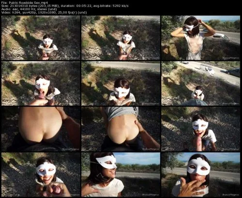 Public Roadside Sex