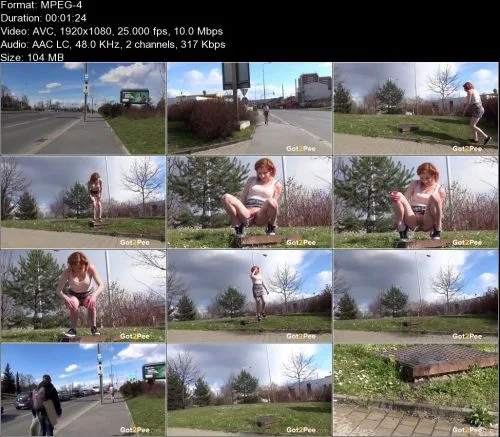 Redhead Sprinkler