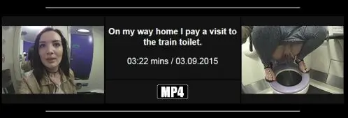 Train Toilet Trip