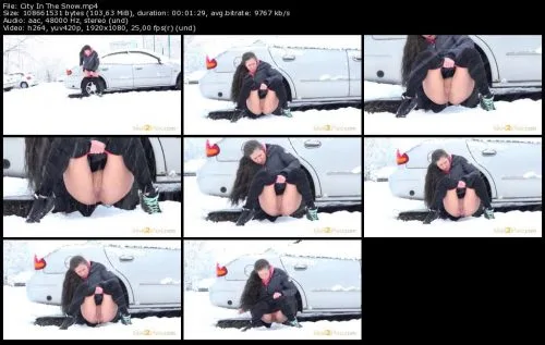 City In The Snow Got2Pee 2019