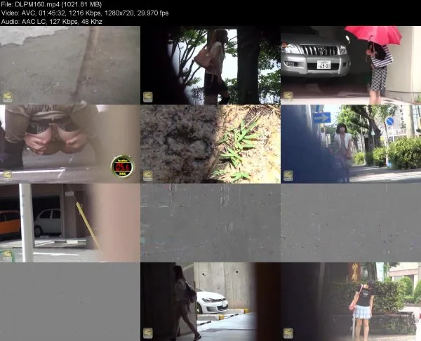 DLPM160 Hidden Cam Outdoors Pissing Records Vol. 1 Pack men