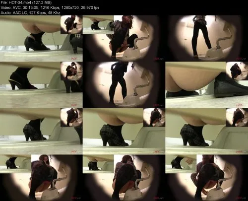 DLHDT-04 Hidden Camera Toilet in HD: FILE 04