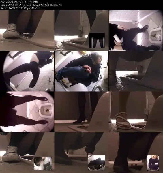 DGOB-01 Japanese Blunder! Pile Of Shit in the Bathroom 1