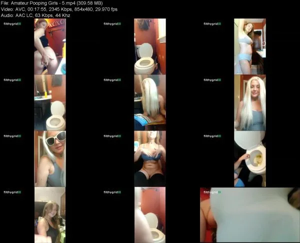 Amateur Pooping Girls – 5 women scat videos, 2019