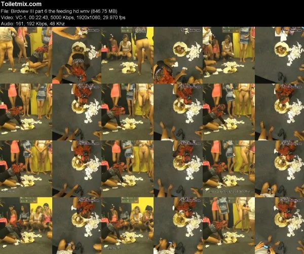 Birdview III part 6 the feeding hd