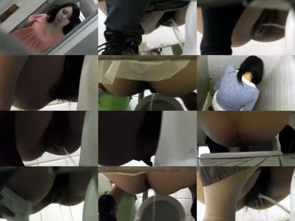 美しい日本の未来 Pooping Voyeur Toilet