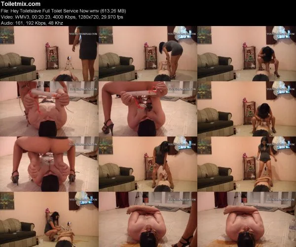 Hey Toiletslave Full Toilet Service Now