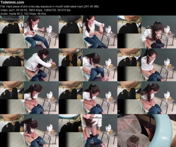 Alina Hard piece of shit a two-day exposure in mouth toilet slave