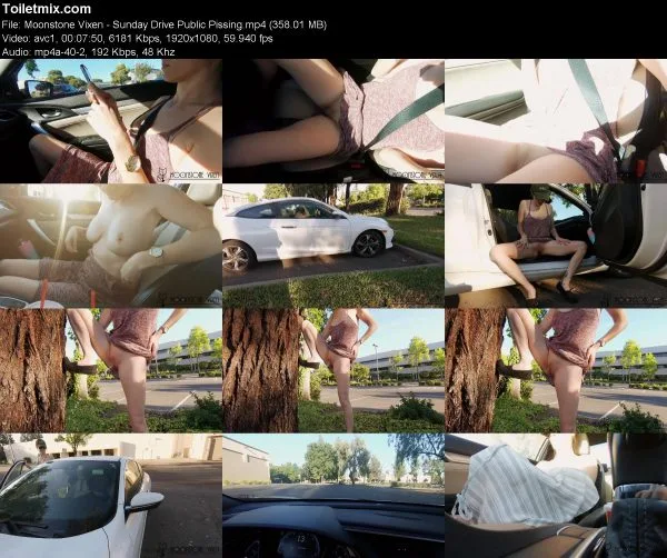 Moonstone Vixen – Sunday Drive Public Pissing
