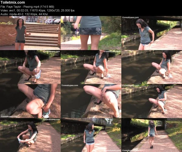 Faye Taylor – Pissing pissing in public, HD 2019
