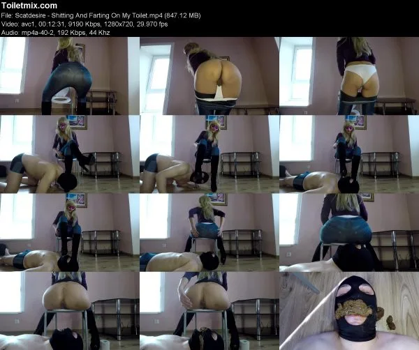 Scatdesire – Shitting And Farting On My Toilet