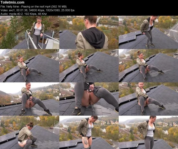 Nelly Nine – Pissing on the roof
