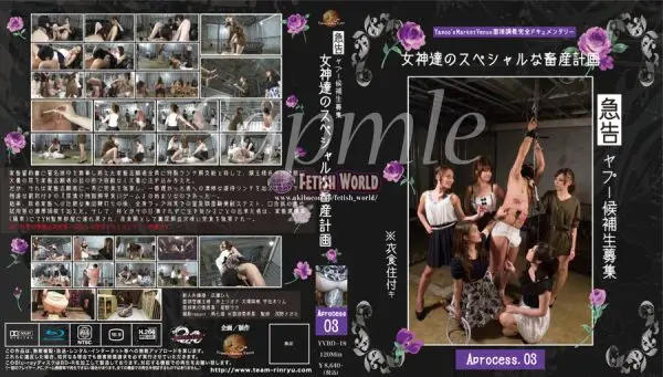 YVBD-18 -1080p x264 急告！！ヤプー候補生募集！！？衣食住付き～女神達のスペシャルな畜産計画 Aprocess．03