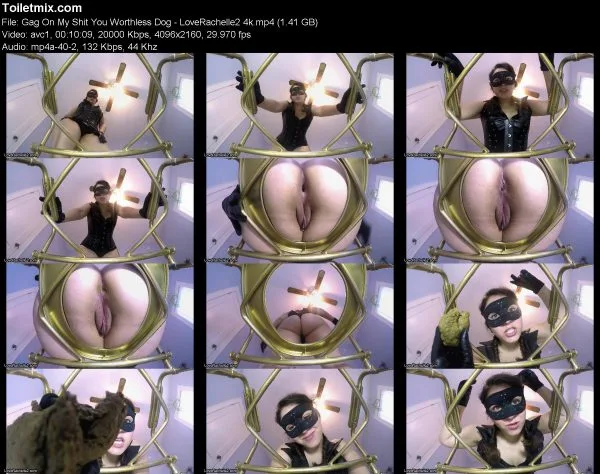 Gag On My Shit You Worthless Dog – LoveRachelle2 4k