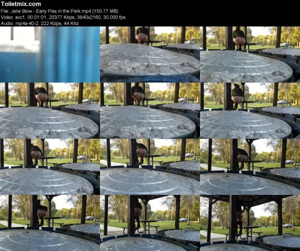 Jane Blow – Early Piss in the Park