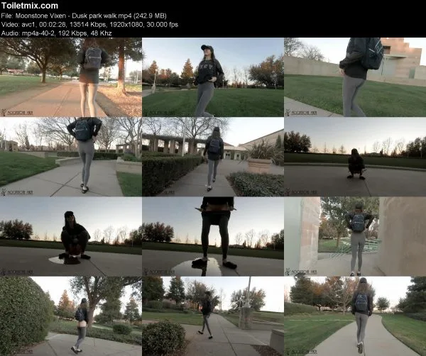 Moonstone Vixen – Dusk park walk