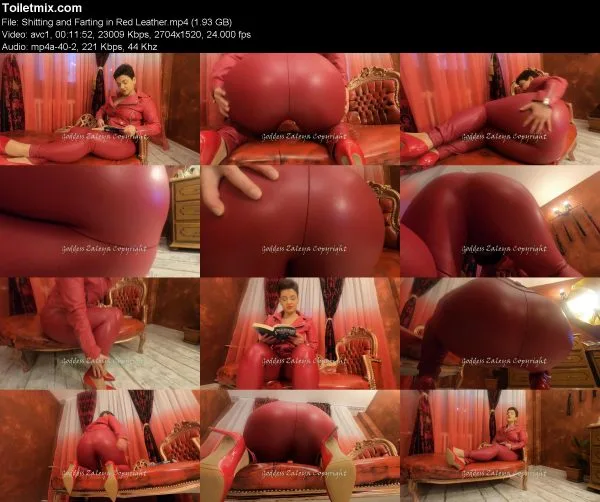 Shitting and Farting in Red Leather