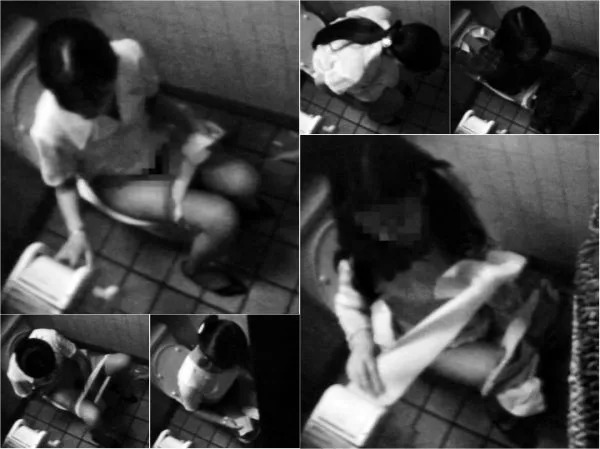 Japanese Voyeur Toilet 山のトイレ・美女編⑩