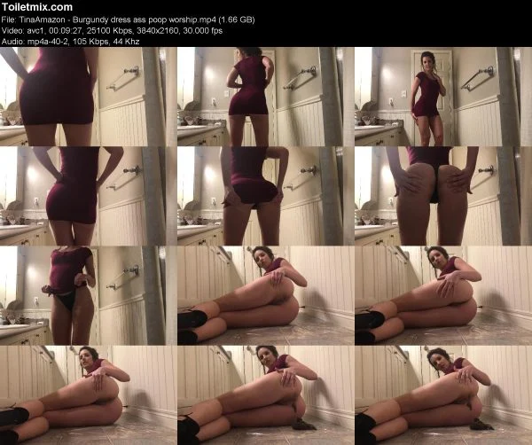 TinaAmazon – Burgundy dress ass poop worship
