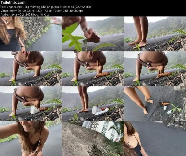 Linda – Big morning Shit on public Street