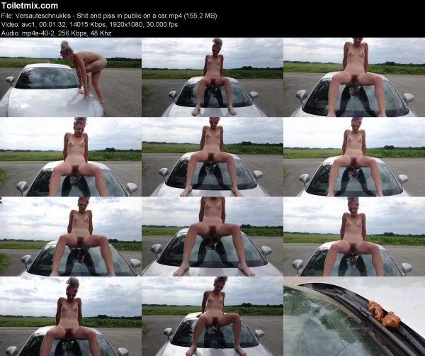 Versauteschnukkis – Shit and piss in public on a car
