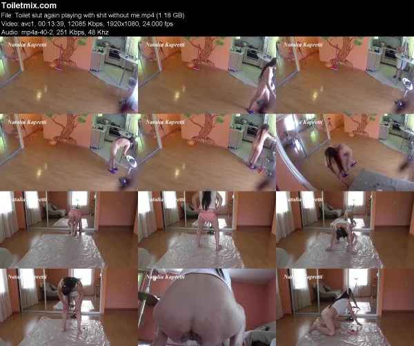 Toilet slut again playing with shit without me