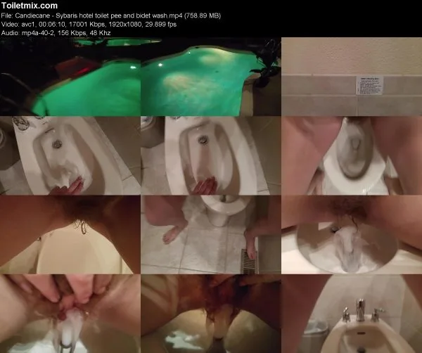 Candiecane – Sybaris hotel toilet pee and bidet wash
