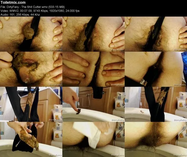 DirtyFairy – The Shit Cutter