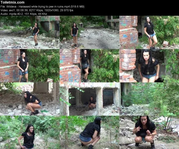 Wildeva – Harassed while trying to pee in ruins