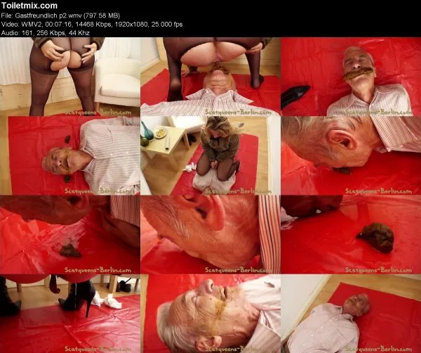 Gastfreundlich p2 toilet slave, FullHD 2020