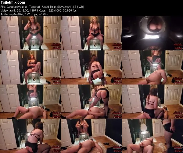 GoddessValeria – Tortured – Used Toilet Slave