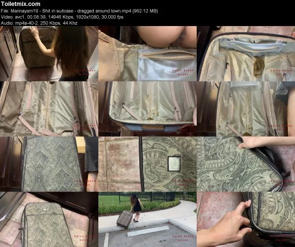 Marinayam19 – Shit in suitcase – dragged around town