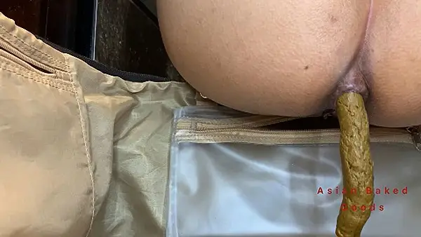 Marinayam19 – Shit in suitcase – dragged around town