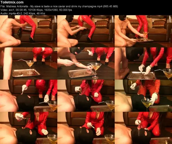 Mistress Antonella – My slave is taste a nice caviar and drink my champagne