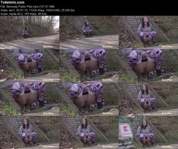 Seriously Public Piss